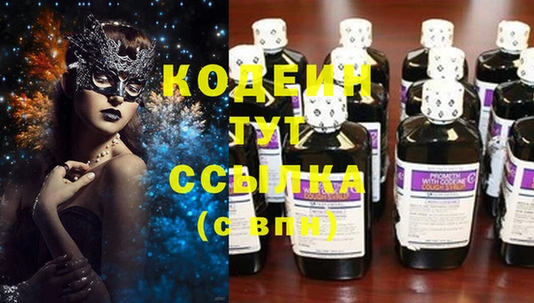 дурь Инсар