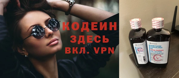 ГАЛЛЮЦИНОГЕННЫЕ ГРИБЫ Инта
