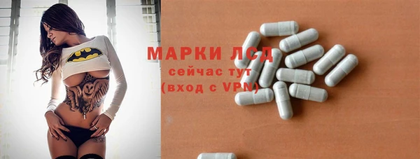 ГАЛЛЮЦИНОГЕННЫЕ ГРИБЫ Инта