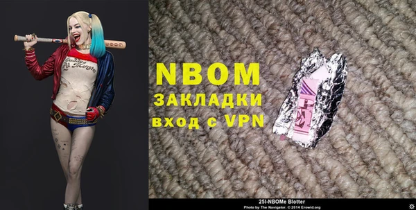 ГАЛЛЮЦИНОГЕННЫЕ ГРИБЫ Инта