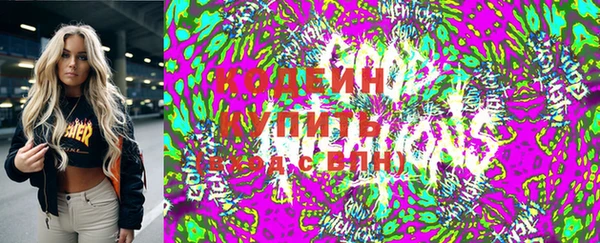 ГАЛЛЮЦИНОГЕННЫЕ ГРИБЫ Инта