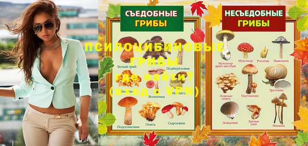 jwh Зерноград