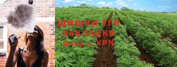 дурь Инсар