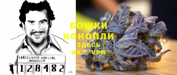 дурь Инсар