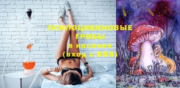 ГАЛЛЮЦИНОГЕННЫЕ ГРИБЫ Инта