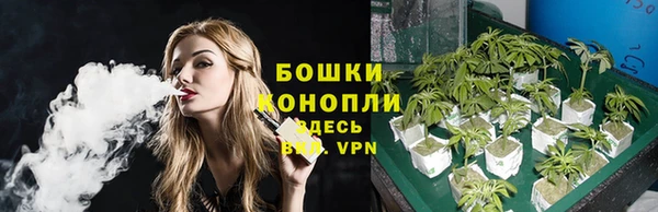 стаф Зеленокумск