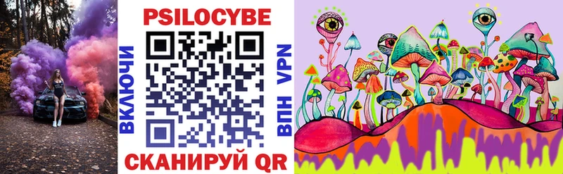 Псилоцибиновые грибы Psilocybe  Купить где  Зея 